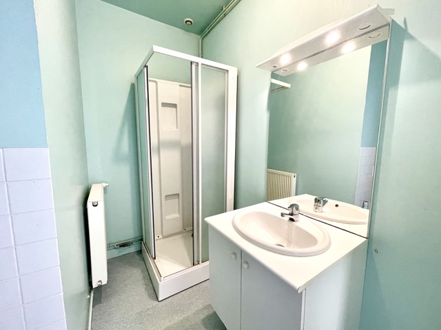 Salle d'eau — douche et lavabo